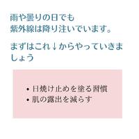 画像238