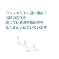 画像247