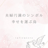 画像474